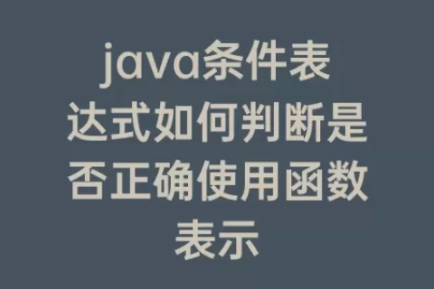 java条件表达式如何判断是否正确使用函数表示
