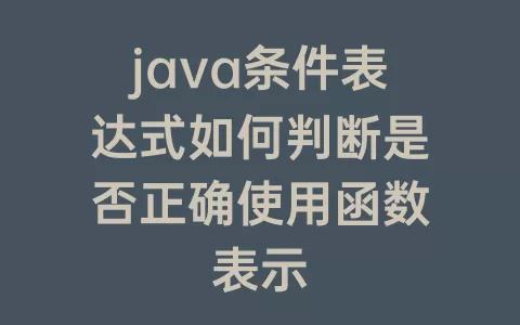java条件表达式如何判断是否正确使用函数表示