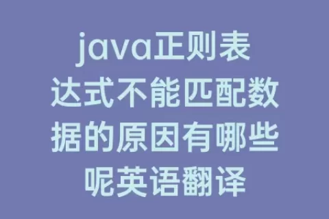 java正则表达式不能匹配数据的原因有哪些呢英语翻译