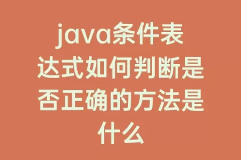 java条件表达式如何判断是否正确的方法是什么