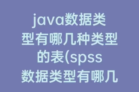 java数据类型有哪几种类型的表(spss数据类型有哪几种类型)