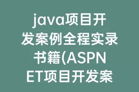 java项目开发案例全程实录书籍(ASPNET项目开发案例全程实录)