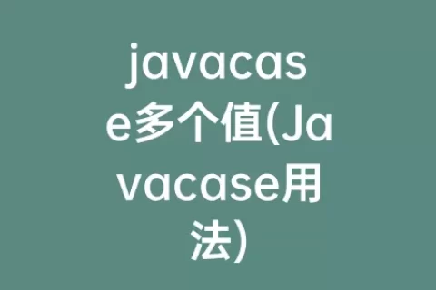 javacase多个值(Javacase用法)