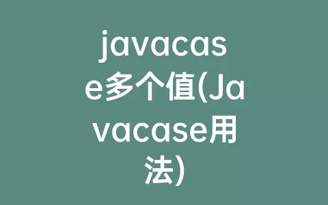 javacase多个值(Javacase用法)