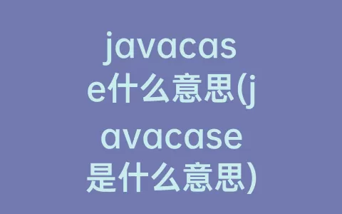 javacase什么意思(javacase是什么意思)