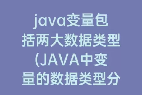 java变量包括两大数据类型(JAVA中变量的数据类型分为)
