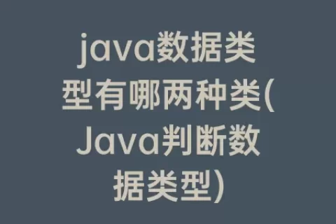 java数据类型有哪两种类(Java判断数据类型)