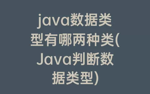 java数据类型有哪两种类(Java判断数据类型)