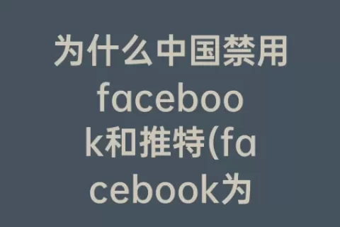 为什么中国禁用facebook和推特(facebook为什么无法速推)