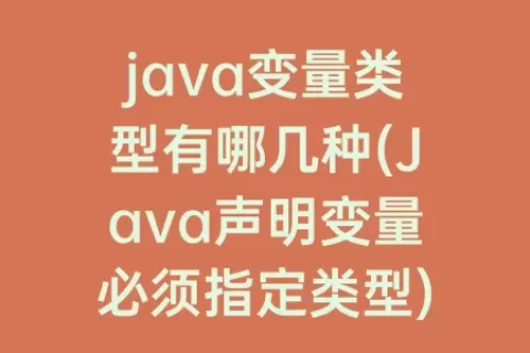 java变量类型有哪几种(Java声明变量必须指定类型)