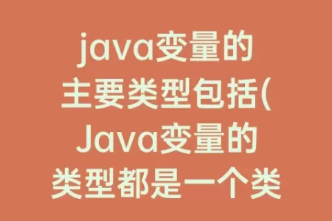 java变量的主要类型包括(Java变量的类型都是一个类)