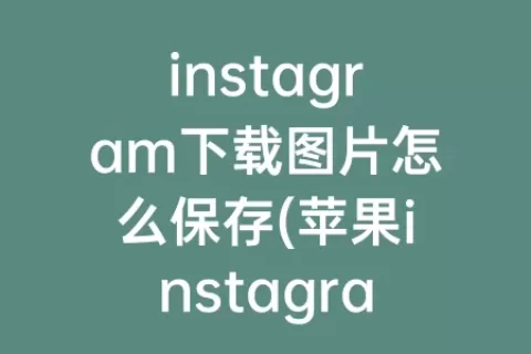 instagram下载图片怎么保存(苹果instagram保存图片)