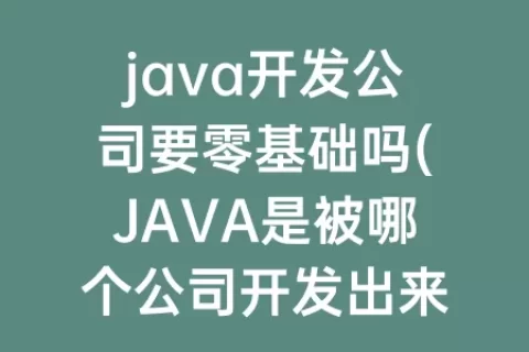 java开发公司要零基础吗(JAVA是被哪个公司开发出来的)