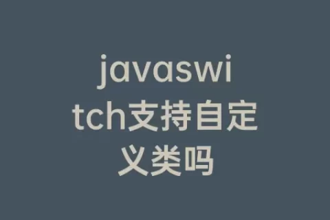 javaswitch支持自定义类吗