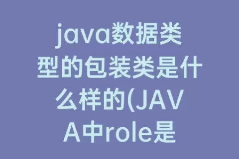 java数据类型的包装类是什么样的(JAVA中role是什么数据类型)