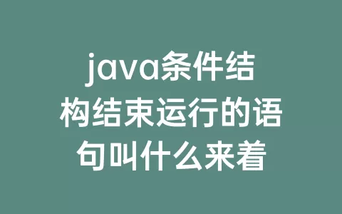 java条件结构结束运行的语句叫什么来着