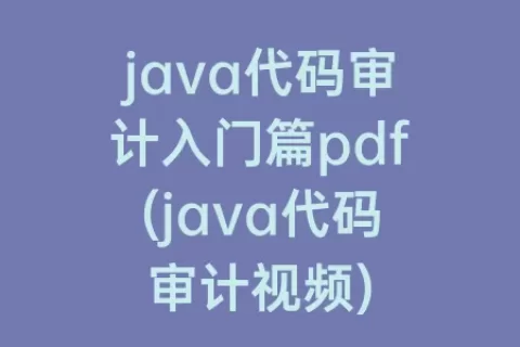 java代码审计入门篇pdf(java代码审计视频)