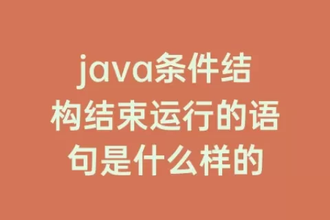 java条件结构结束运行的语句是什么样的