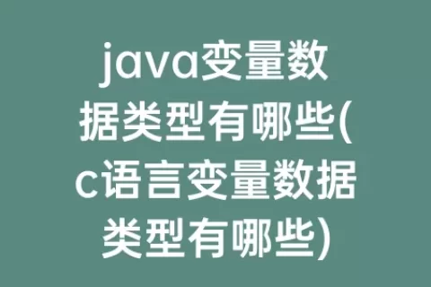 java变量数据类型有哪些(c语言变量数据类型有哪些)