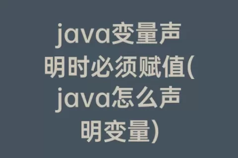 java变量声明时必须赋值(java怎么声明变量)