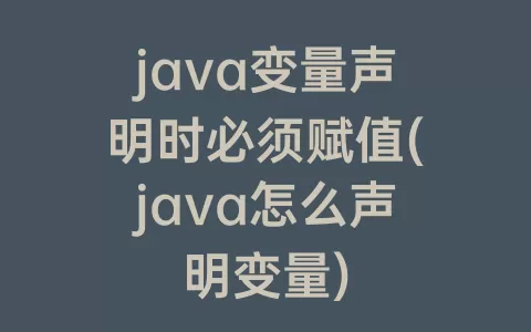 java变量声明时必须赋值(java怎么声明变量)