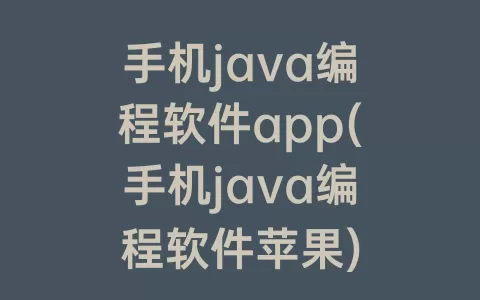 手机java编程软件app(手机java编程软件苹果)