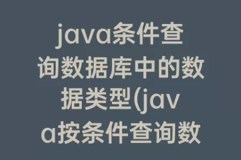 java条件查询数据库中的数据类型(java按条件查询数据库)