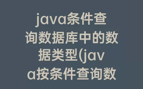 java条件查询数据库中的数据类型(java按条件查询数据库)