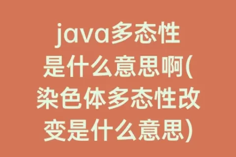 java多态性是什么意思啊(染色体多态性改变是什么意思)