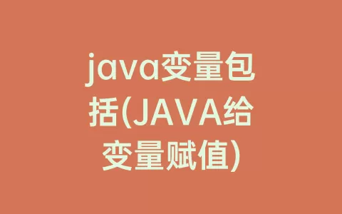 java变量包括(JAVA给变量赋值)