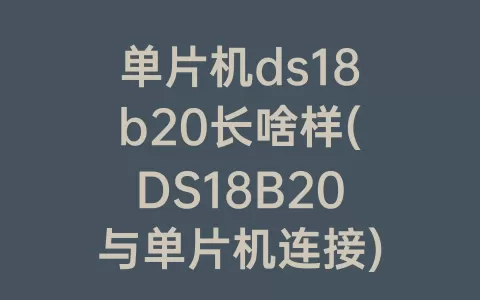 单片机ds18b20长啥样(DS18B20与单片机连接)