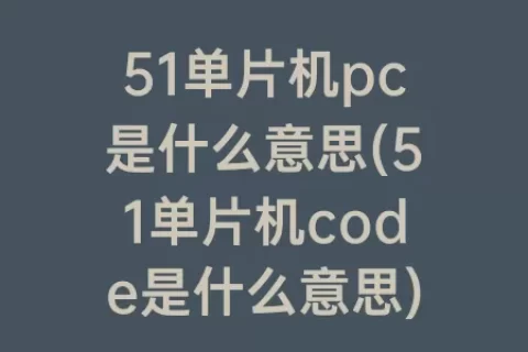 51单片机pc是什么意思(51单片机code是什么意思)