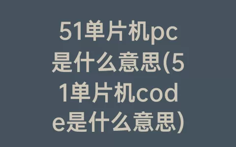 51单片机pc是什么意思(51单片机code是什么意思)