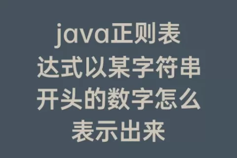 java正则表达式以某字符串开头的数字怎么表示出来