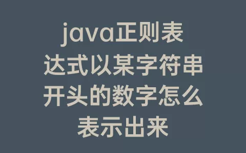 java正则表达式以某字符串开头的数字怎么表示出来