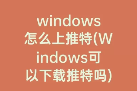 windows怎么上推特(Windows可以下载推特吗)