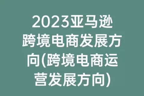 2023亚马逊跨境电商发展方向(跨境电商运营发展方向)