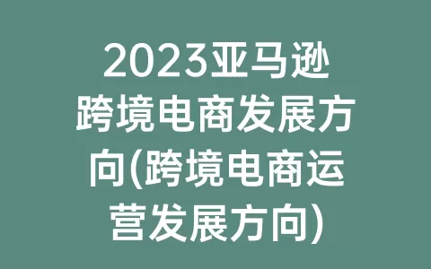 2023亚马逊跨境电商发展方向(跨境电商运营发展方向)