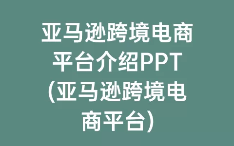 亚马逊跨境电商平台介绍PPT(亚马逊跨境电商平台)