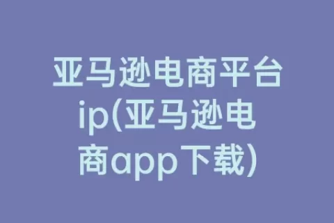 亚马逊电商平台ip(亚马逊电商app下载)