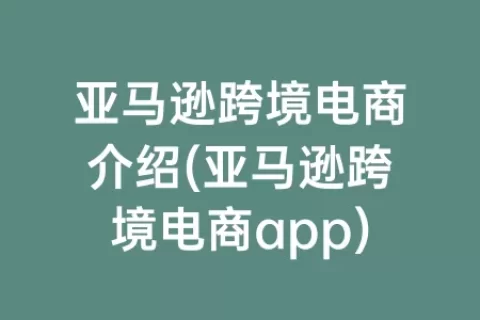 亚马逊跨境电商介绍(亚马逊跨境电商app)