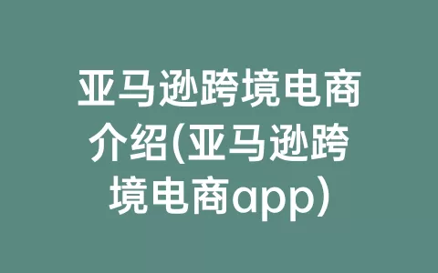 亚马逊跨境电商介绍(亚马逊跨境电商app)