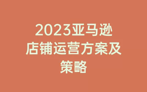 2023亚马逊店铺运营方案及策略