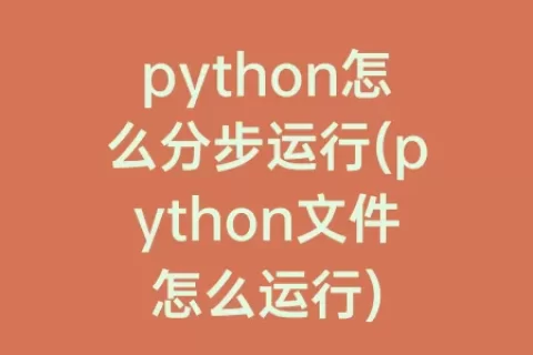python怎么分步运行(python文件怎么运行)