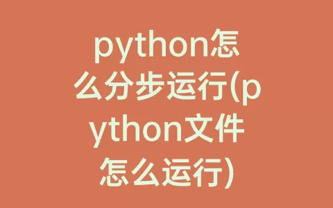 python怎么分步运行(python文件怎么运行)