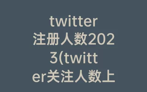 twitter注册人数2023(twitter关注人数上限怎么办)