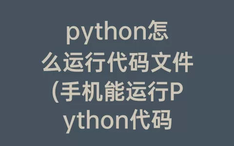 python怎么运行代码文件(手机能运行Python代码吗)