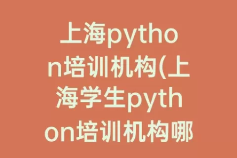 上海python培训机构(上海学生python培训机构哪家好)