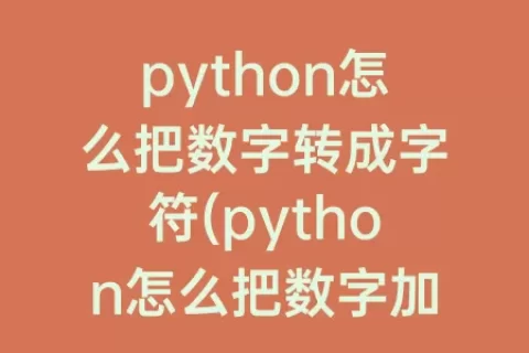 python怎么把数字转成字符(python怎么把数字加起来)