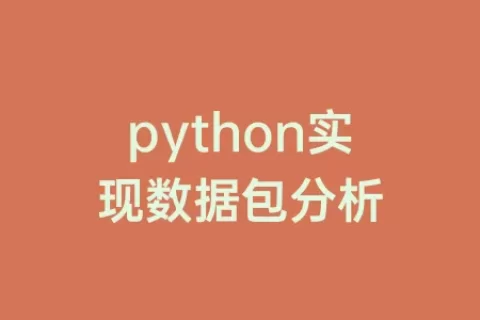 python实现数据包分析